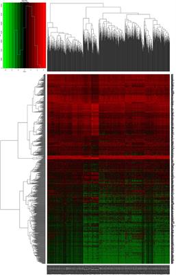 Identifying the Antiproliferative Effect of Astragalus Polysaccharides on Breast Cancer: Coupling Network Pharmacology With Targetable Screening From the Cancer Genome Atlas